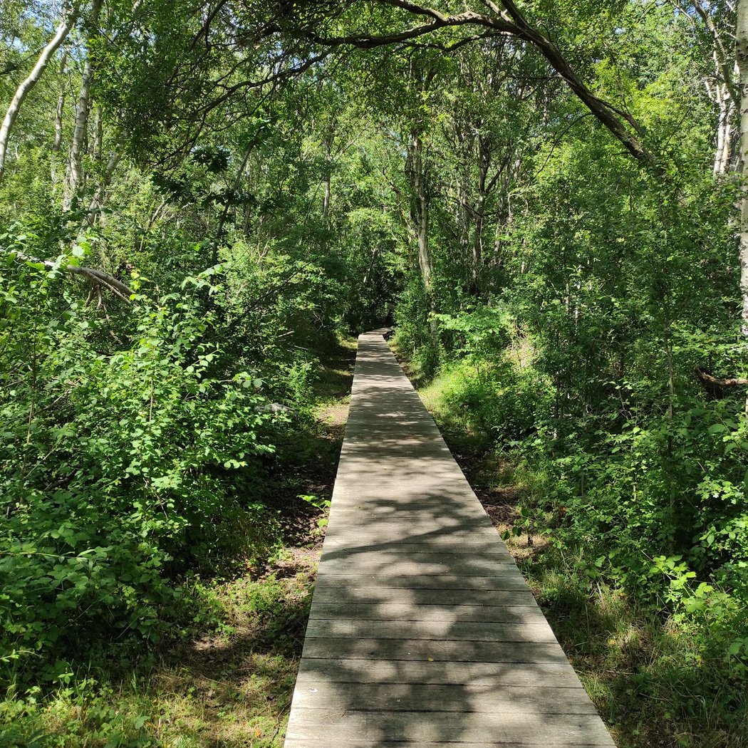 Sentier des Fauvettes 3